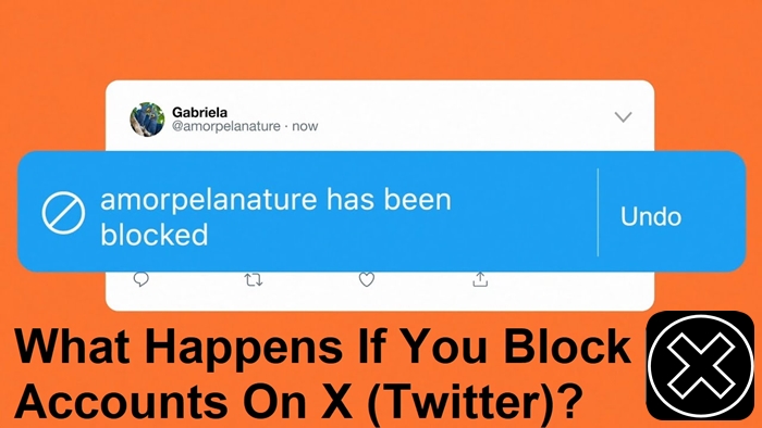 What Happens If You Block Accounts On X